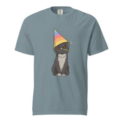 Party Unisex heavyweight t-shirt